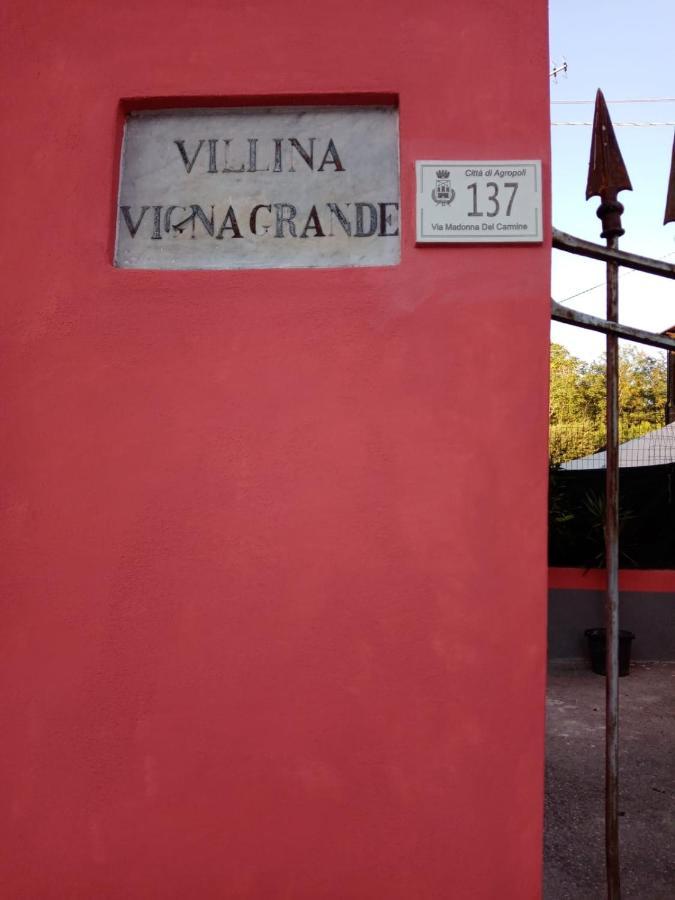 B&B Vigna Grande Агрополи Экстерьер фото